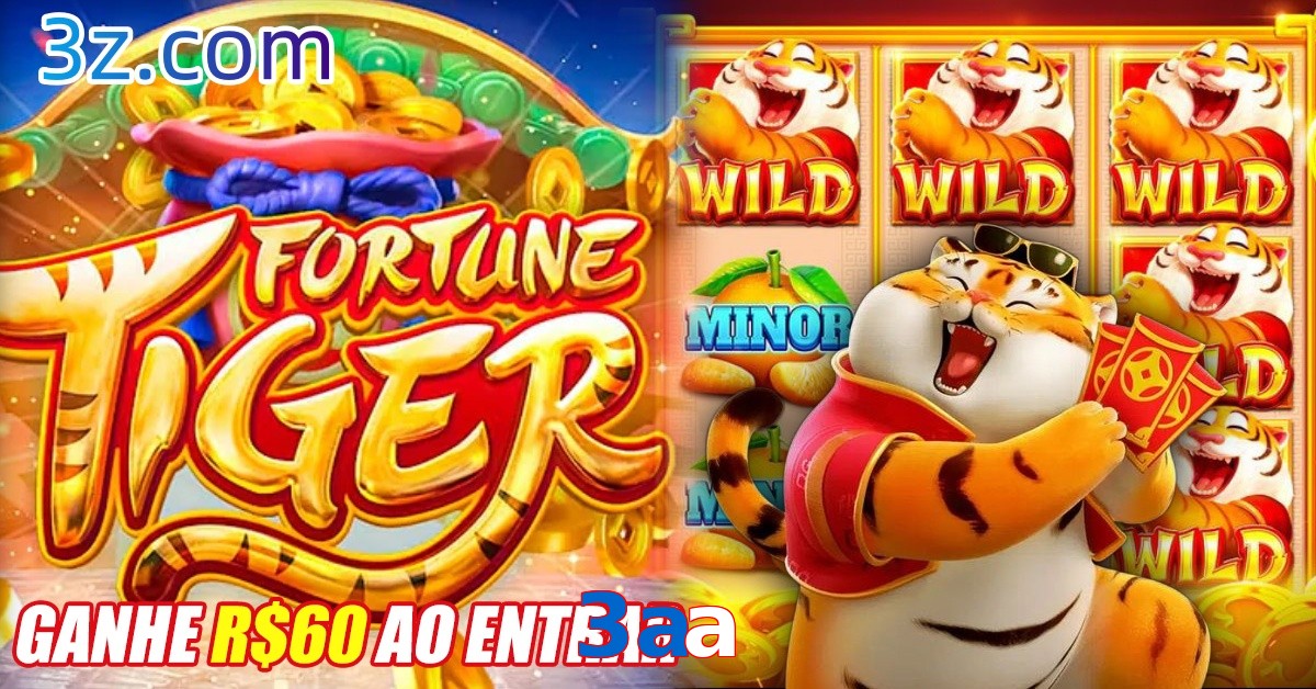 3aa.com